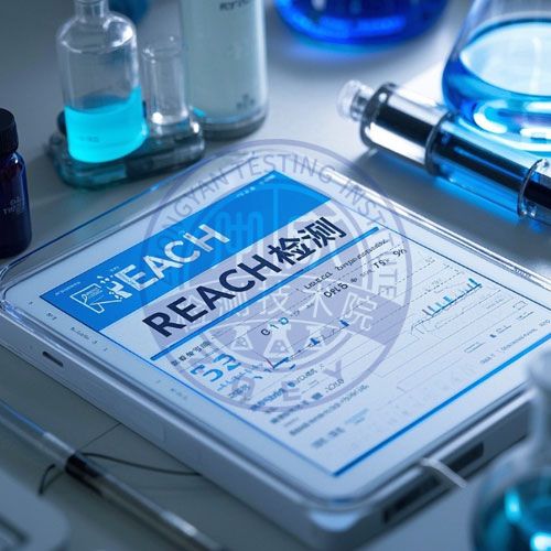 REACH检测